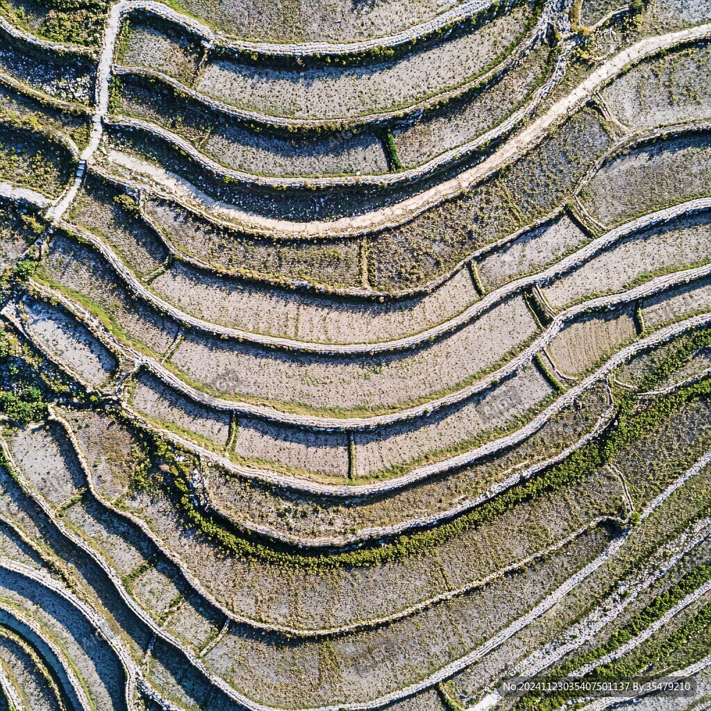指纹梯田