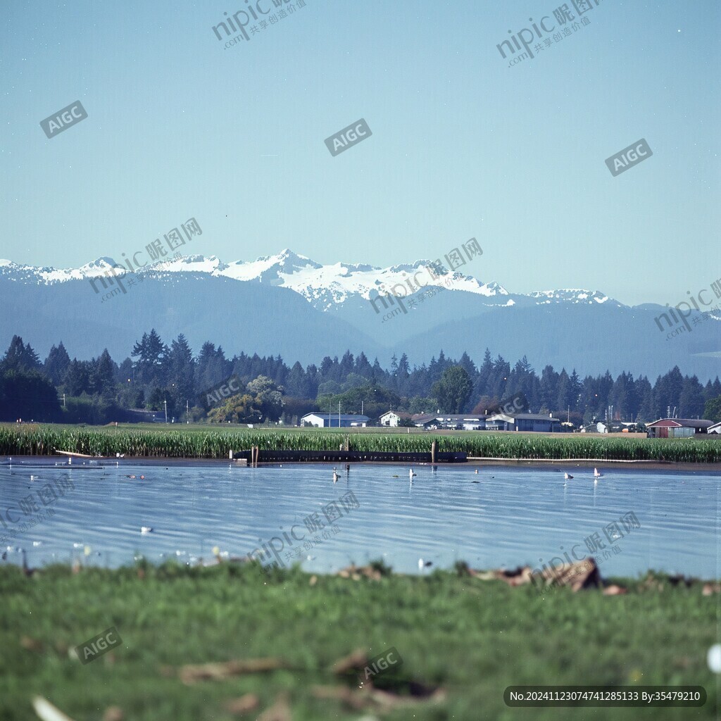 新西兰哈威亚湖风景