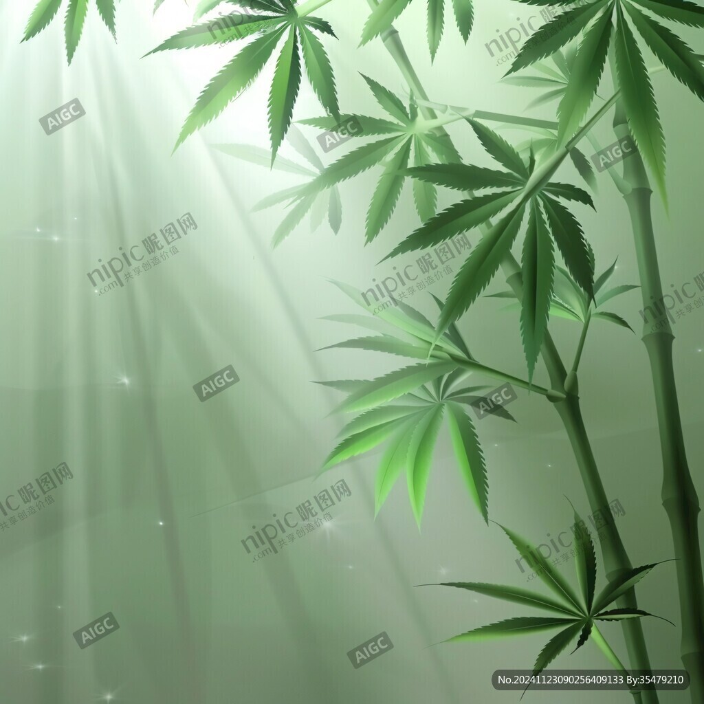 竹个性壁纸