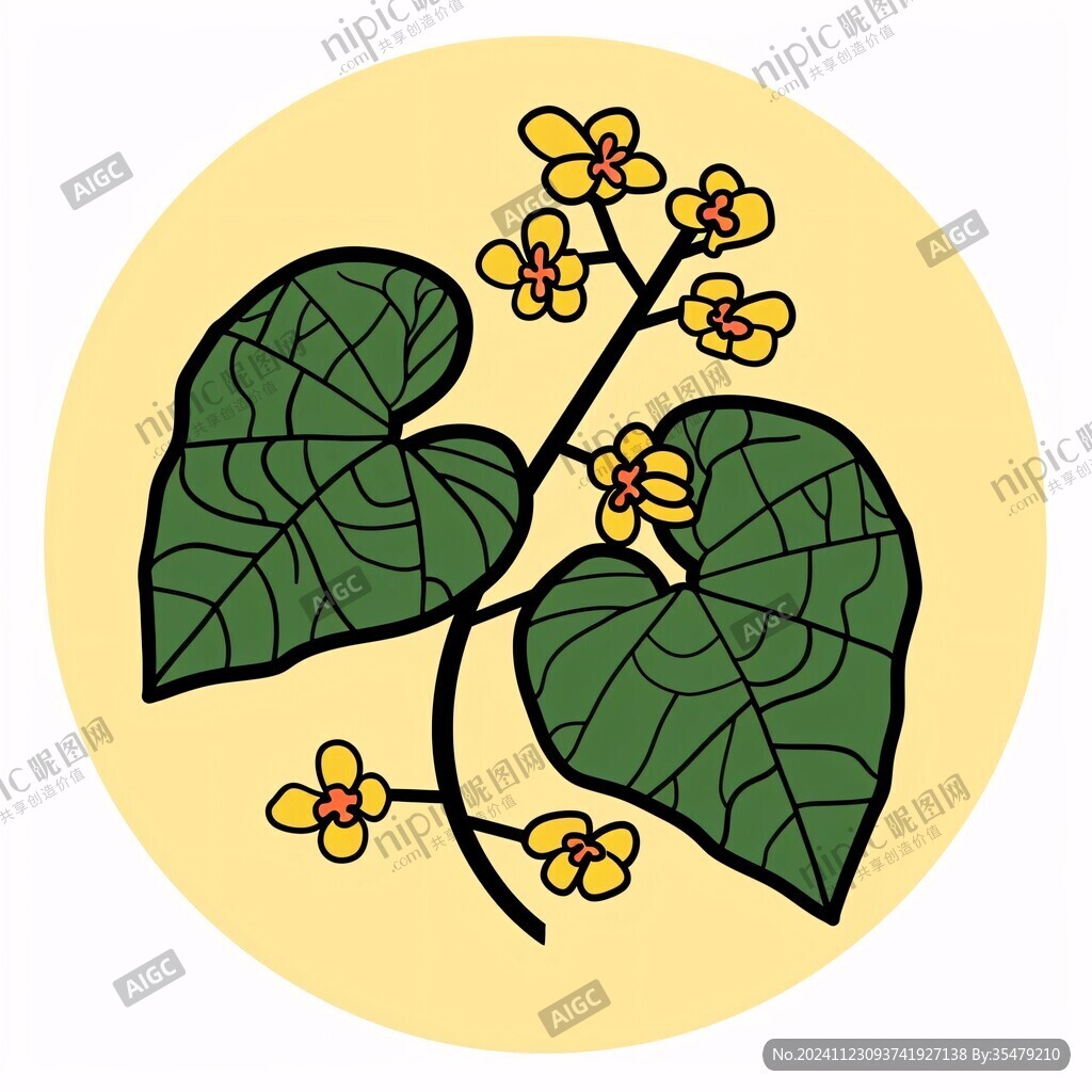 手绘吴茱萸