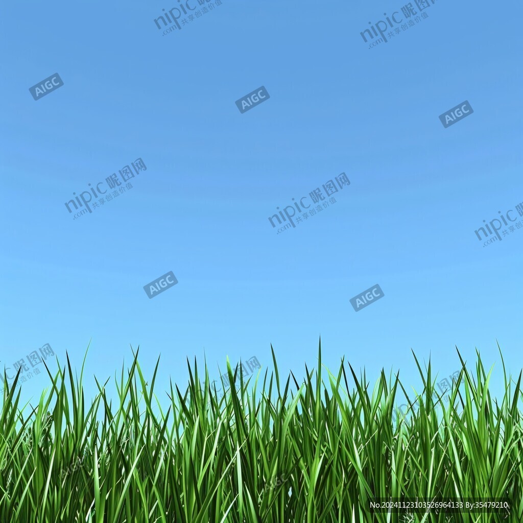 蓝天草素材