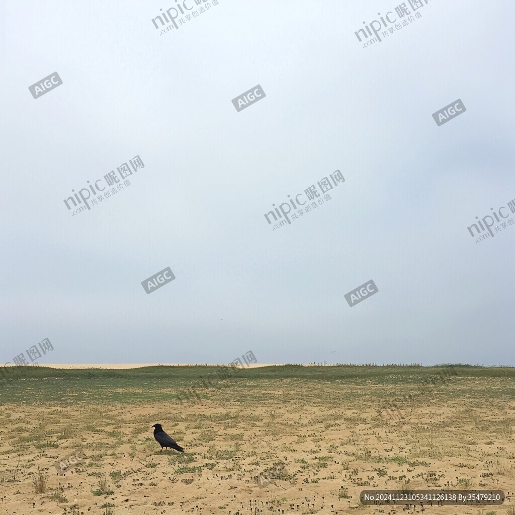 戈壁滩一只骆驼