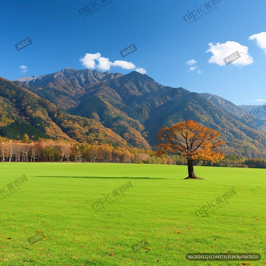 自然景色山形