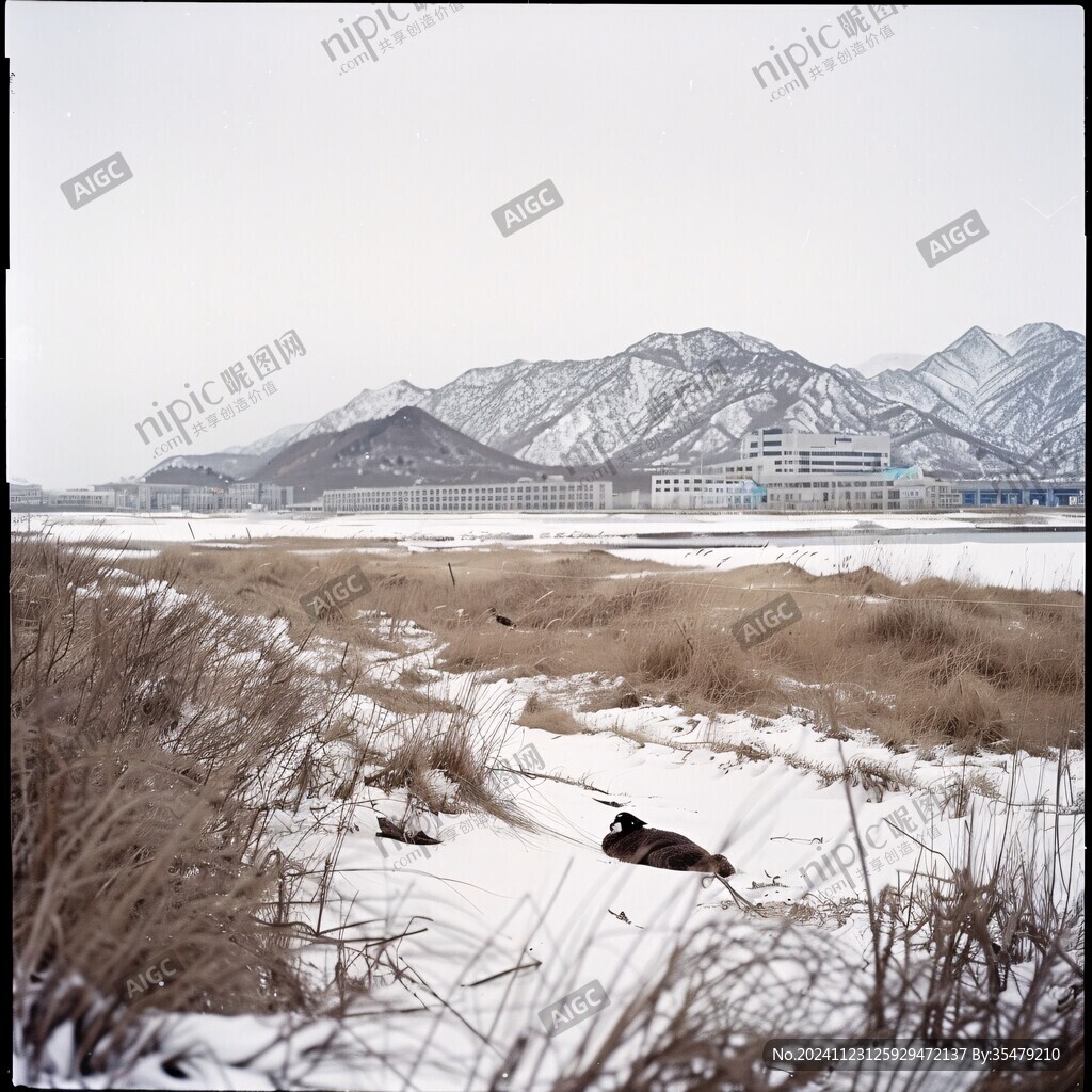 草湖残雪