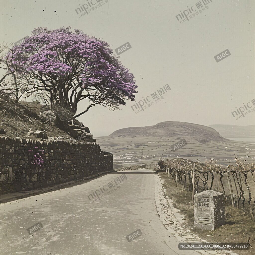 路边的花树