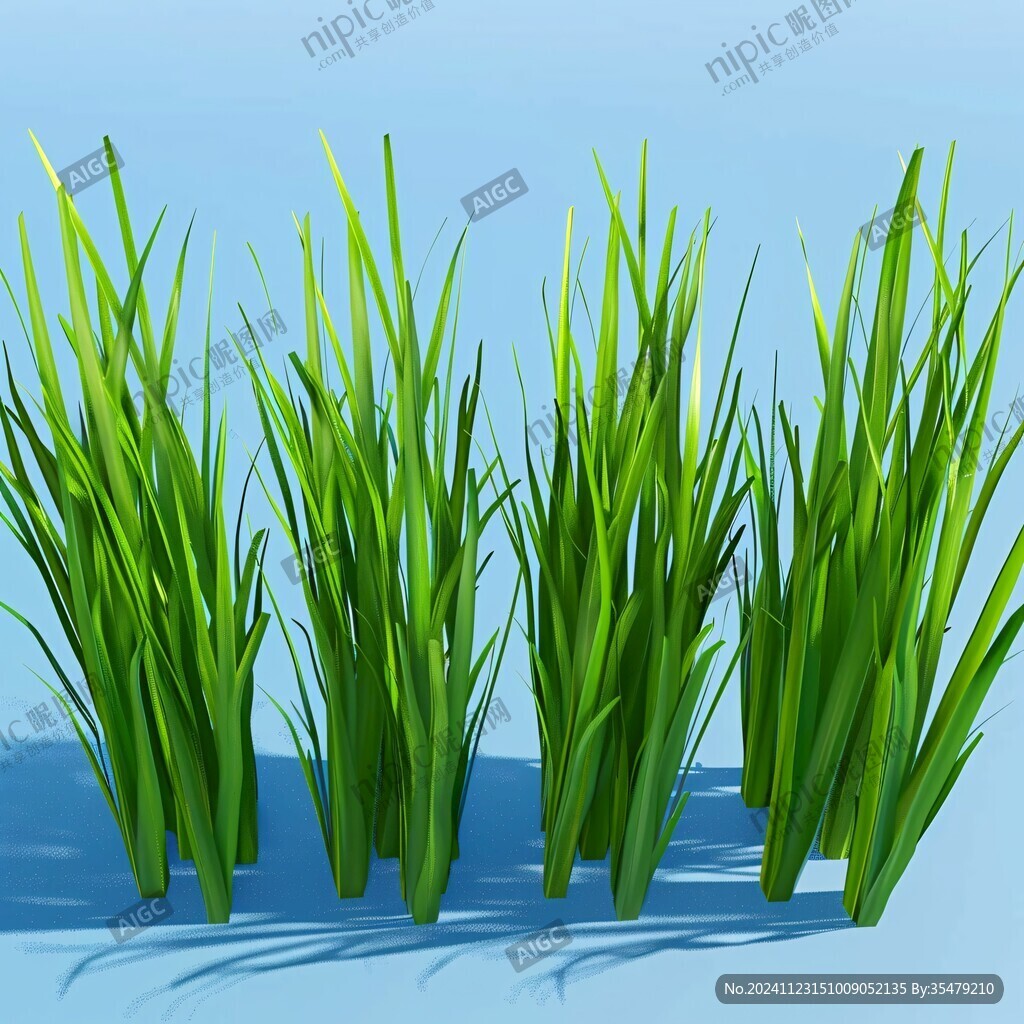 小草素材下载