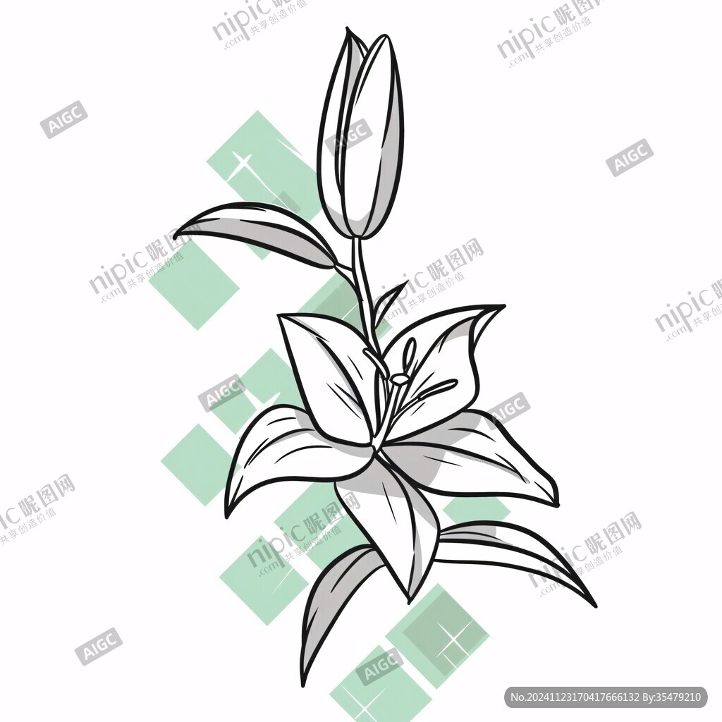 手绘吊兰插画
