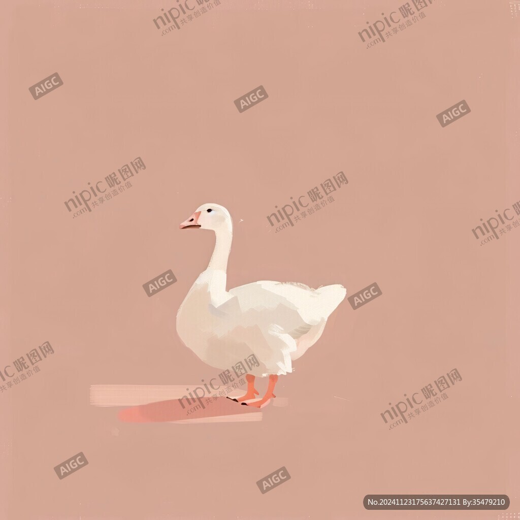大白鹅插画