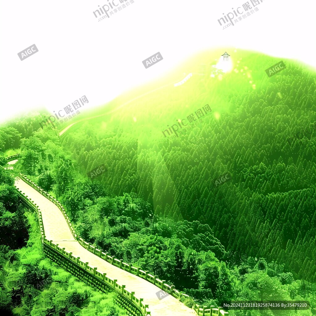 山坡绿化效果