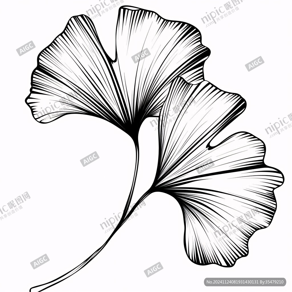 银杏叶线条画