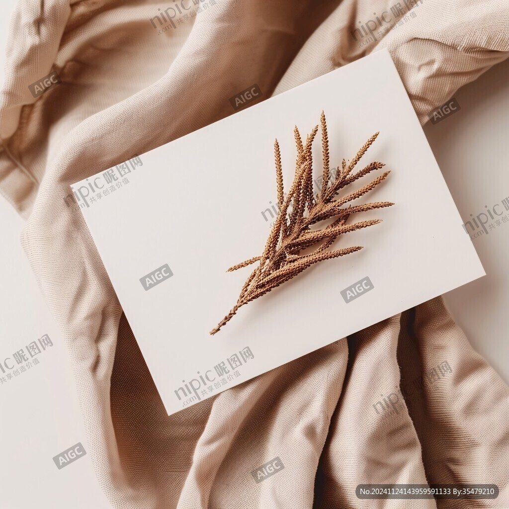 简约干花