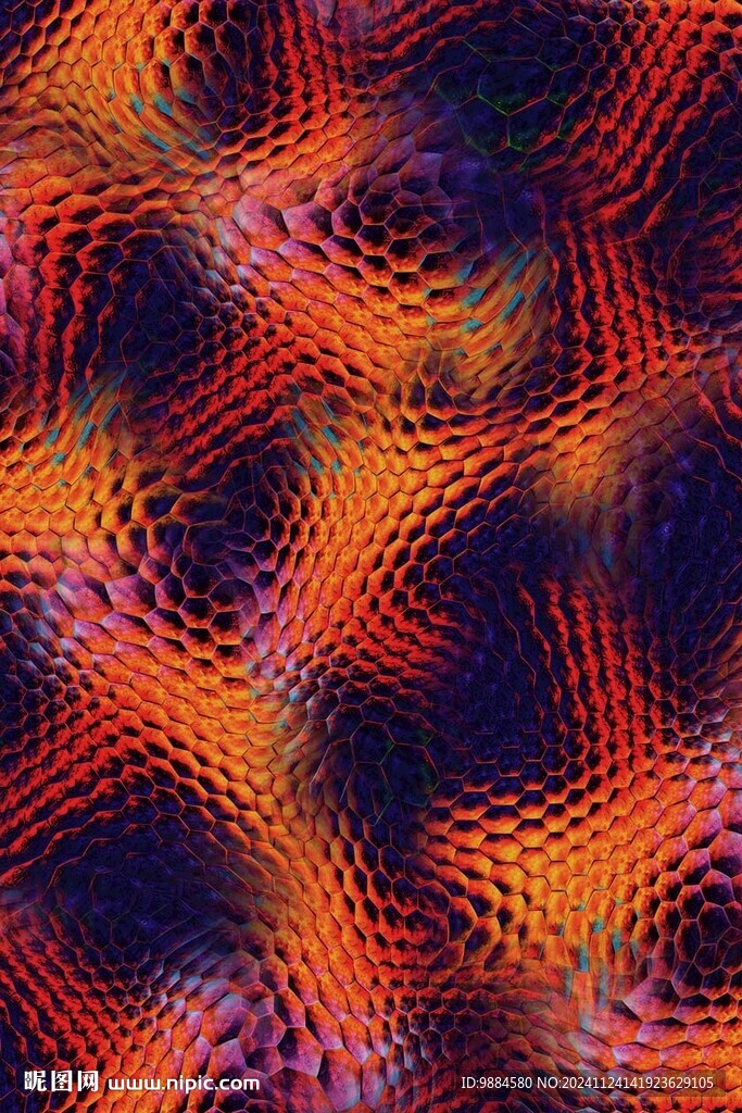 蛇皮