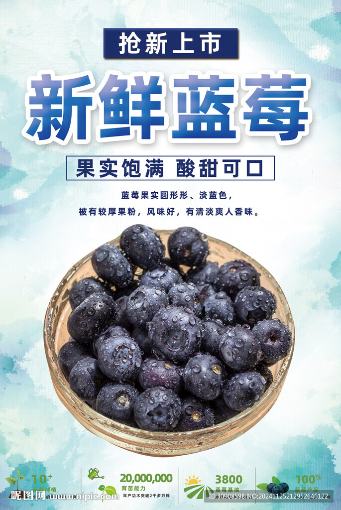 蓝莓