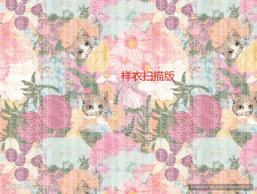 猫  乱花