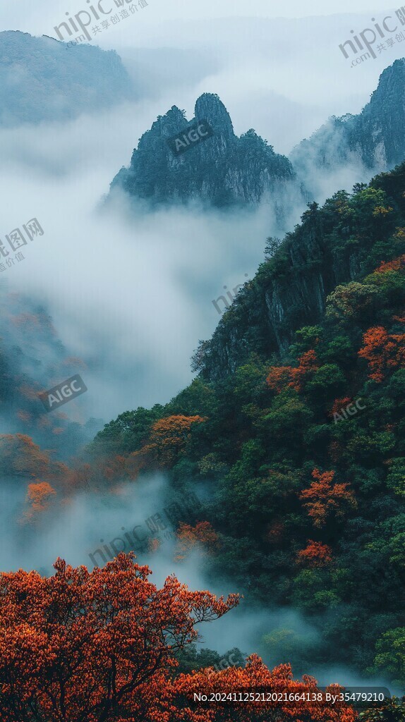 秋天云雾山林