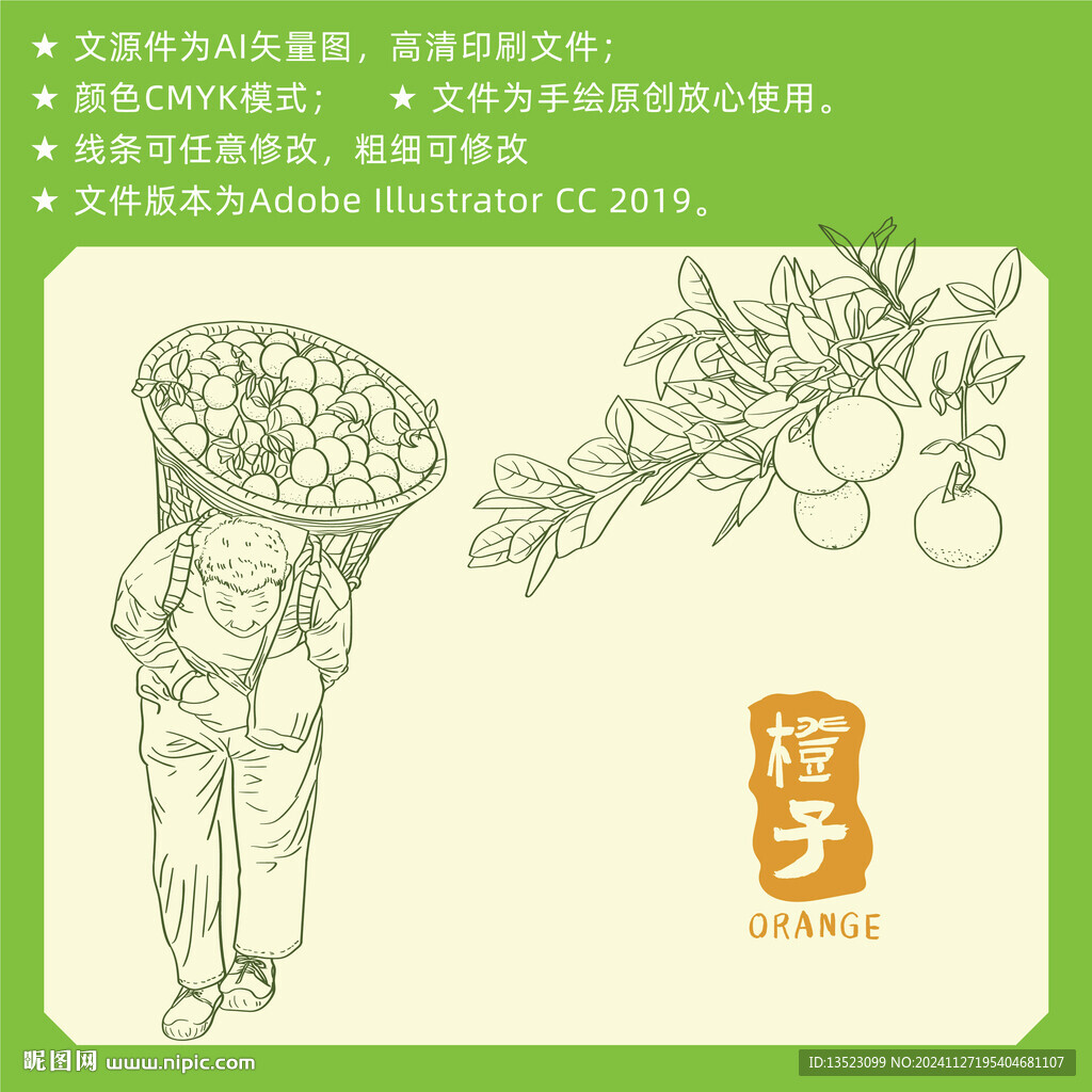 橙子手绘 水果插画