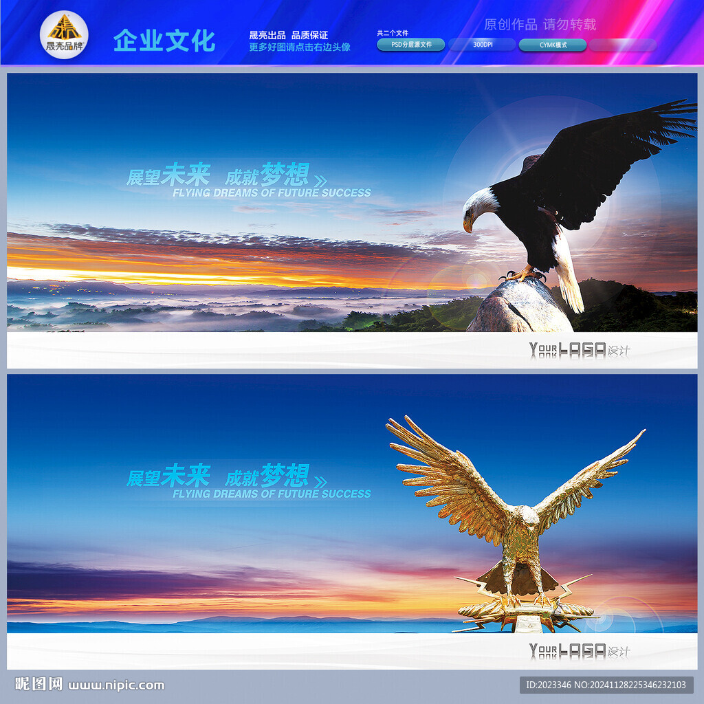 隼鹰老鹰雄鹰展翅