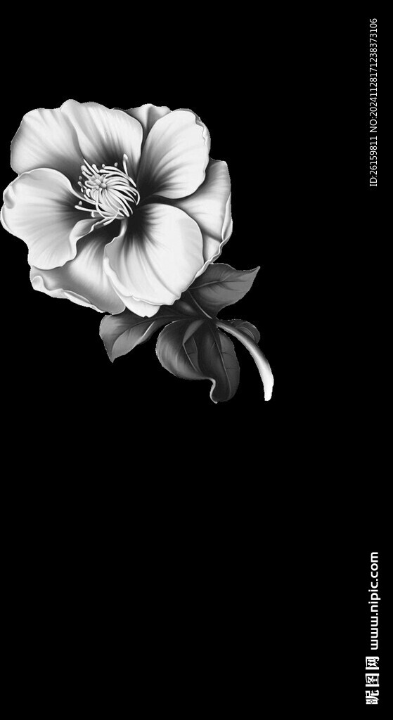 定位花