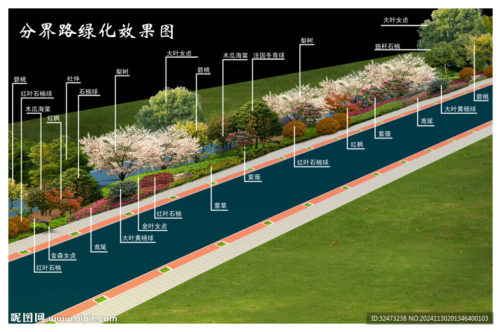 道路绿化效果图