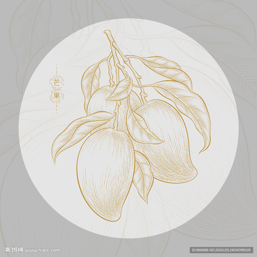 芒果插画
