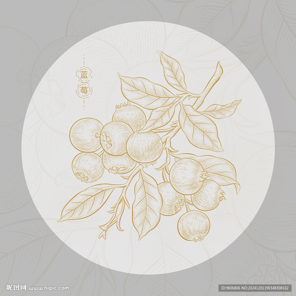 蓝莓
