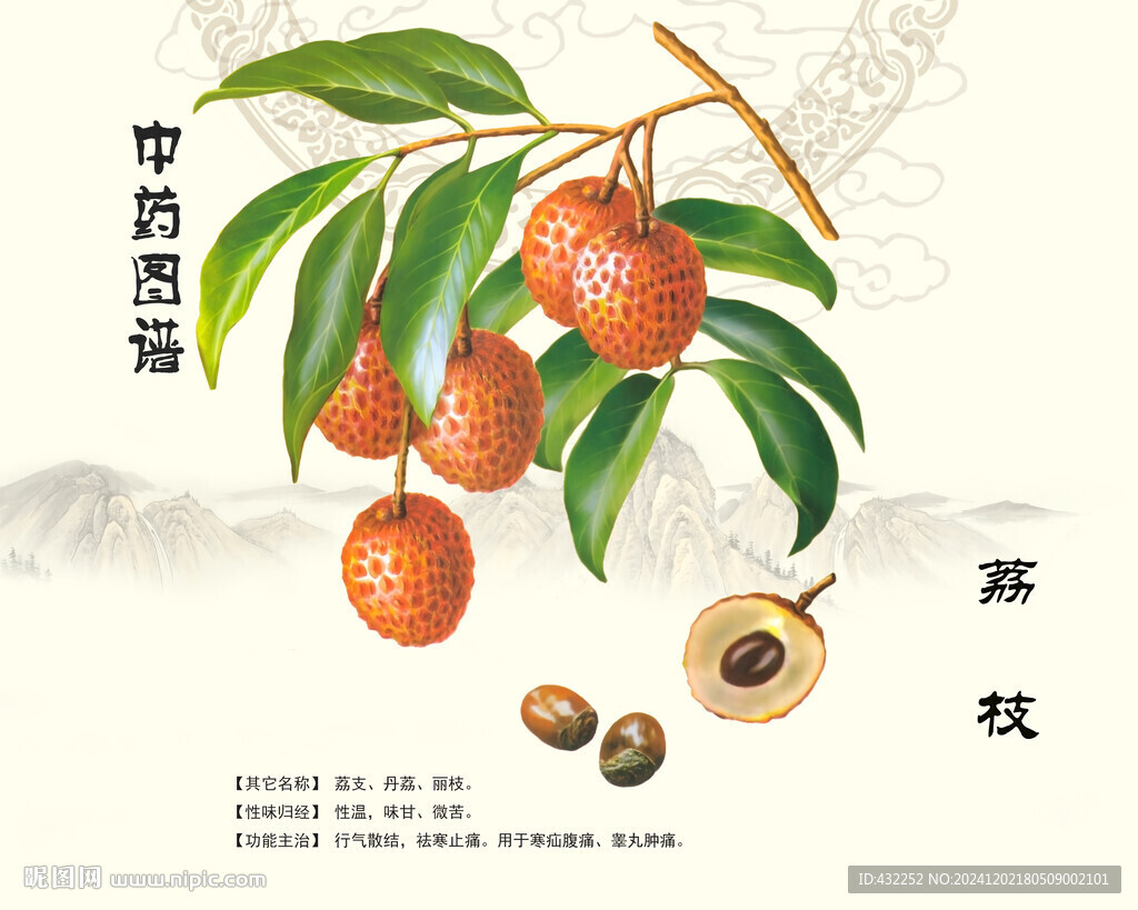 荔枝中药荔枝