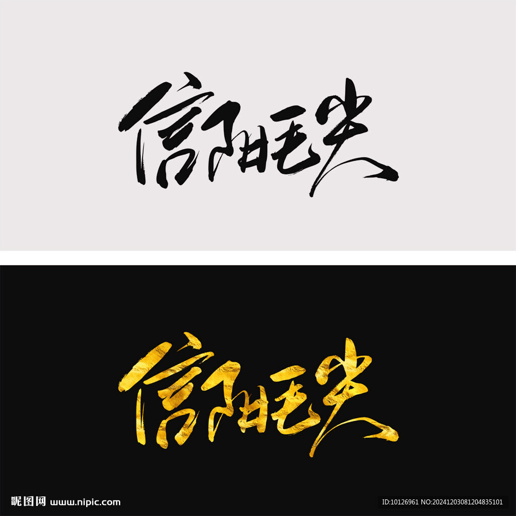 信阳毛尖