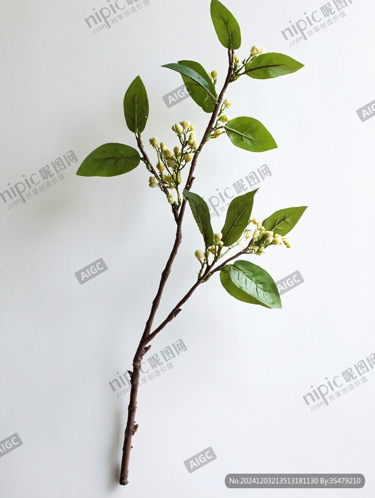 一枝桂花