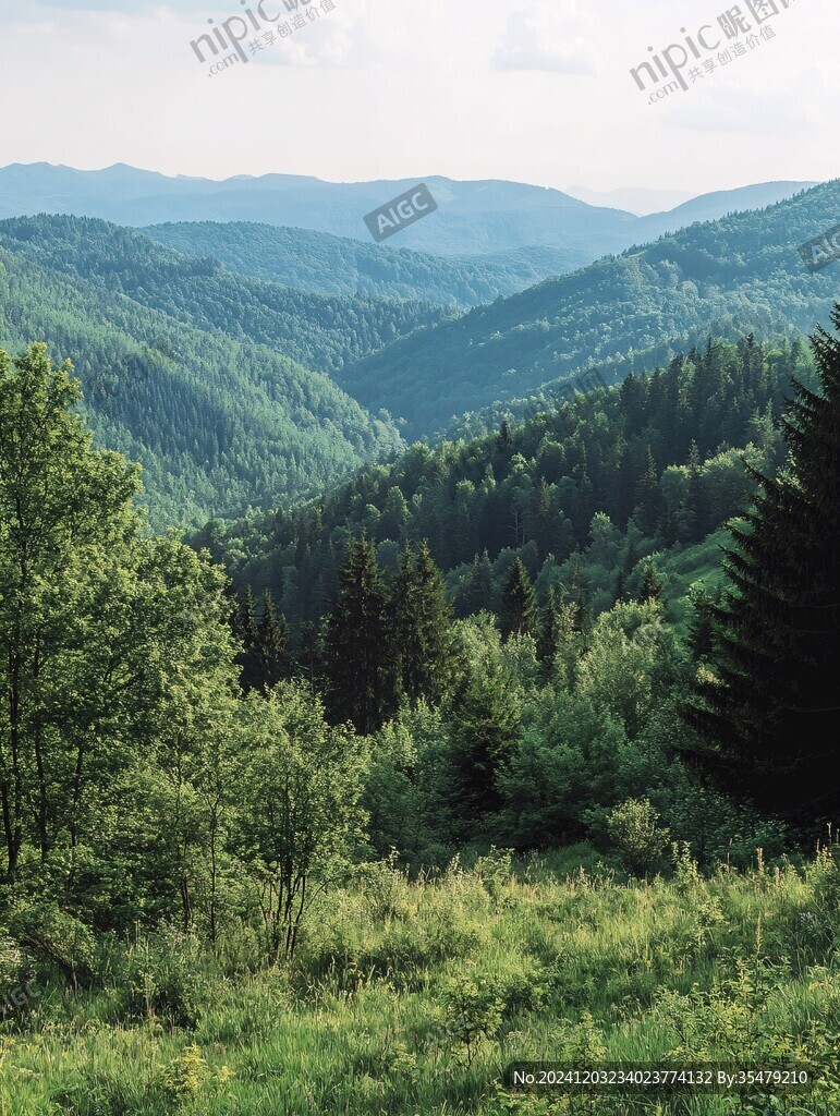 夏季山林