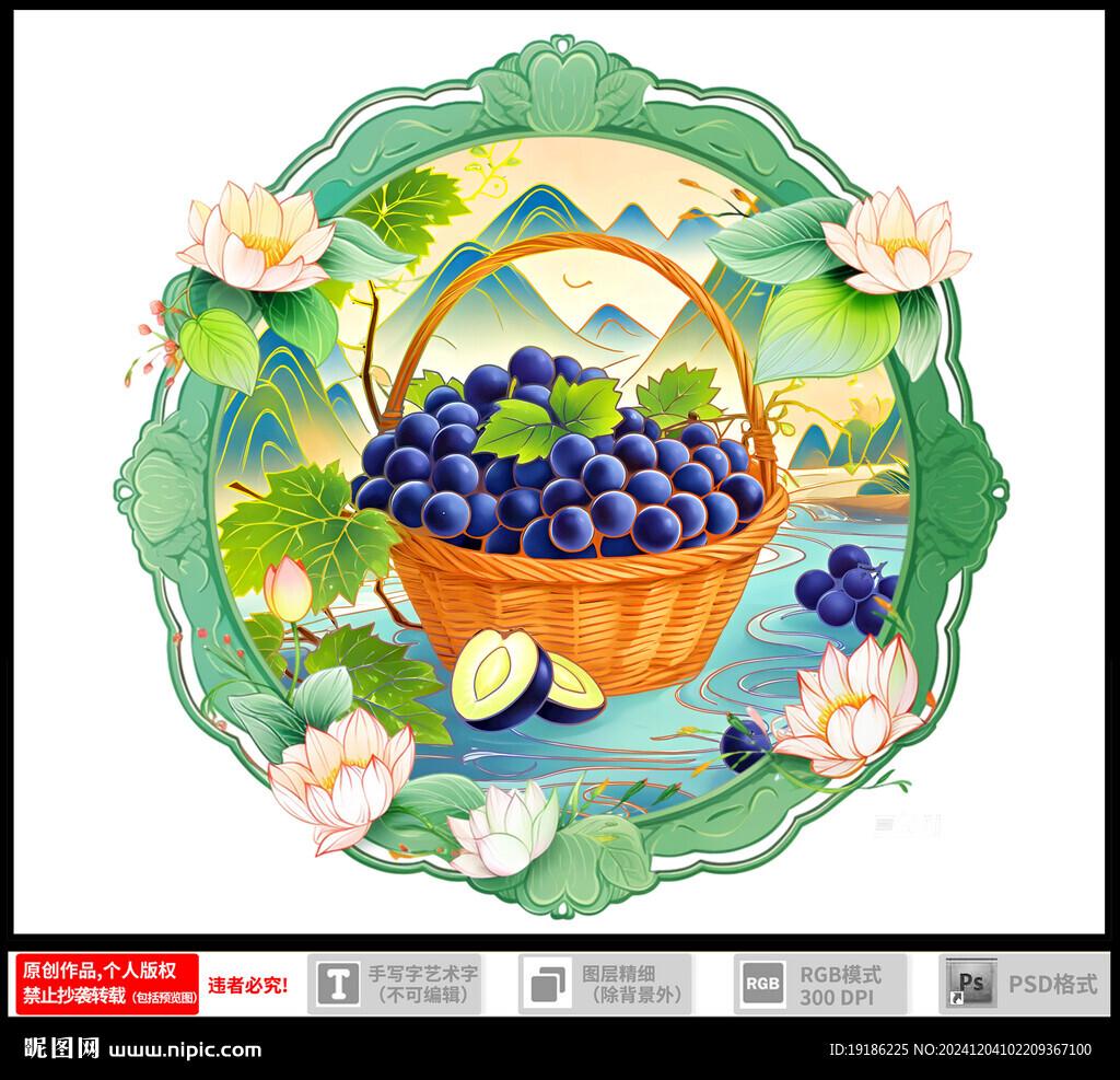 夏黑葡萄插画