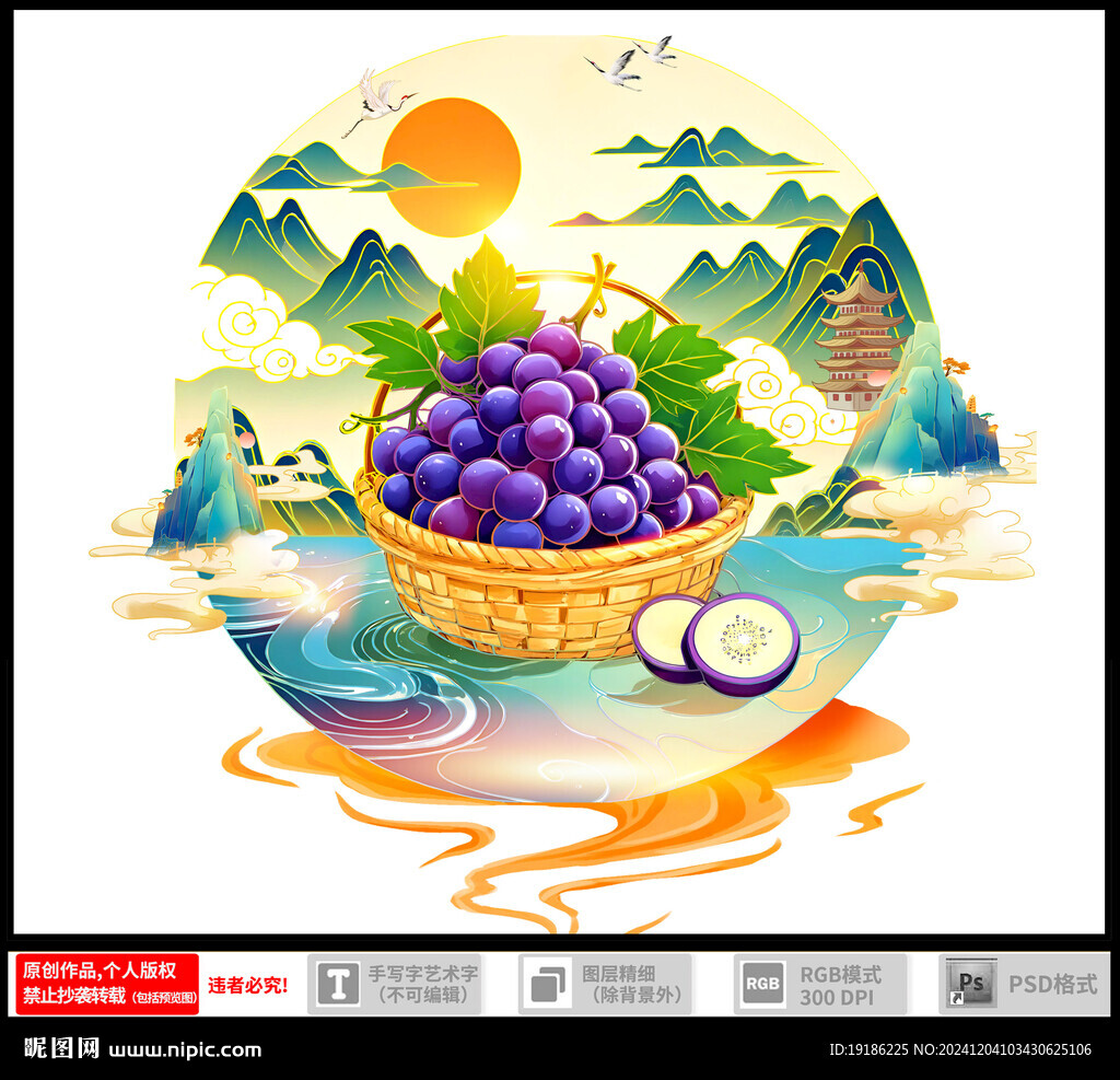 兰考葡萄插画