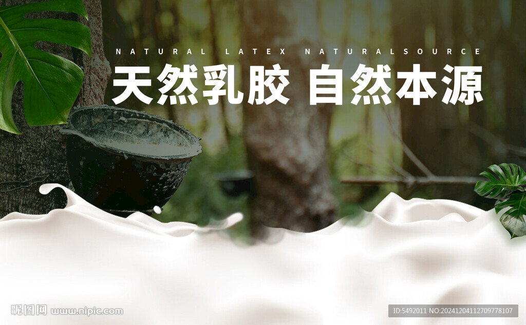 乳胶收割