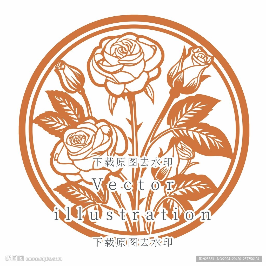 玫瑰插画