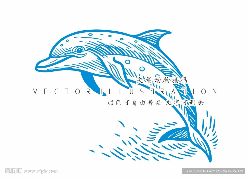 海豚