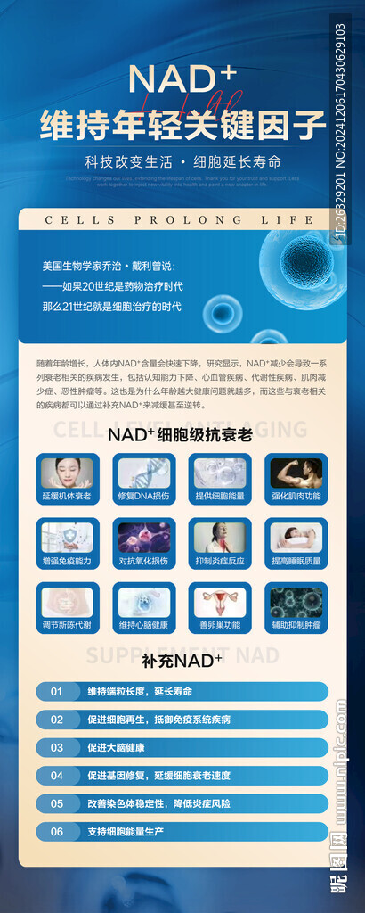 NAD易拉宝