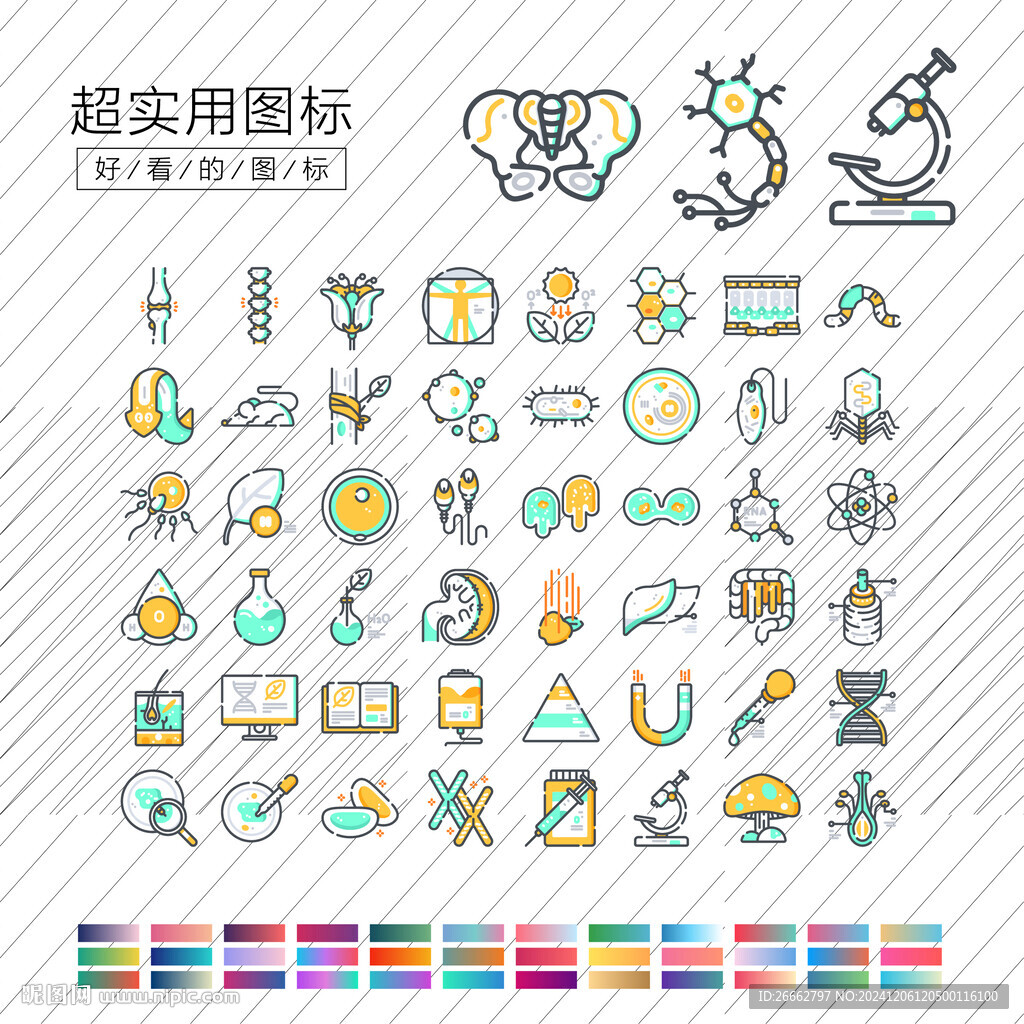 生物