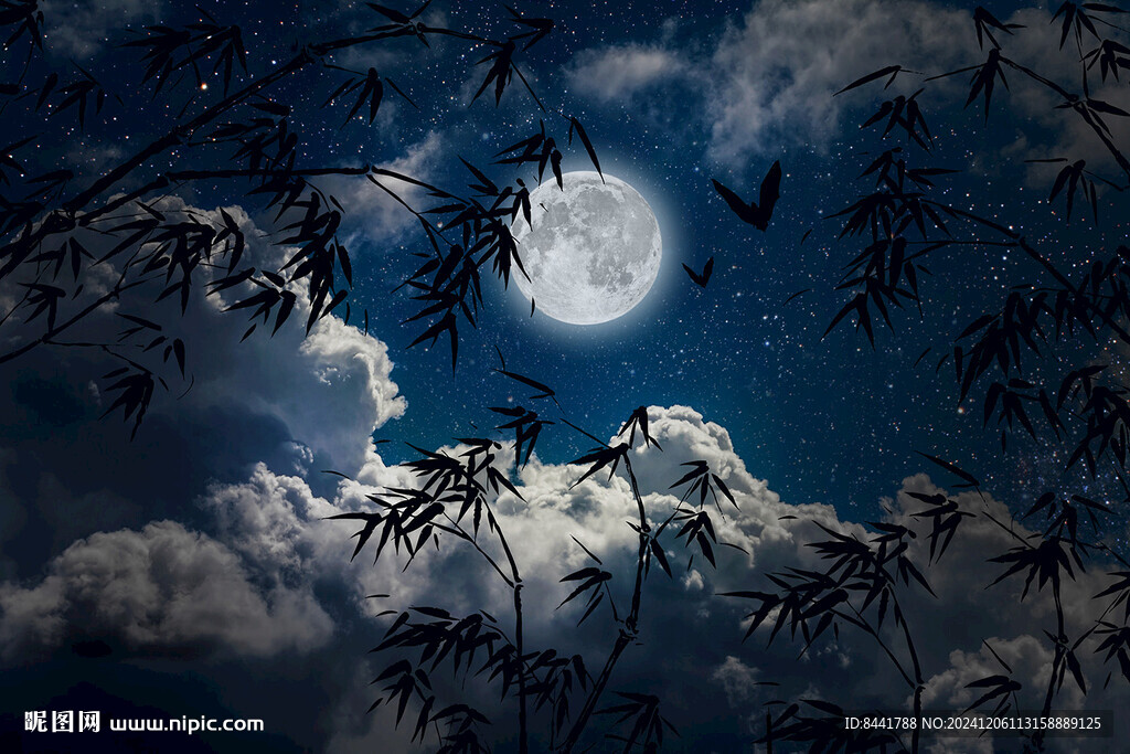 夜空 月亮