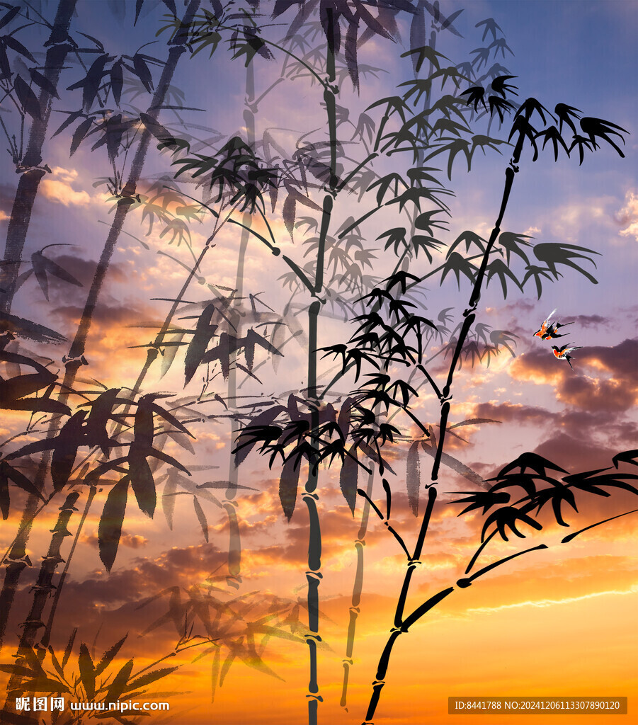 夕阳 竹林