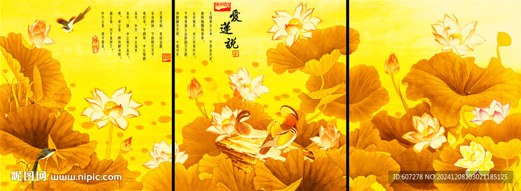  金色荷花 