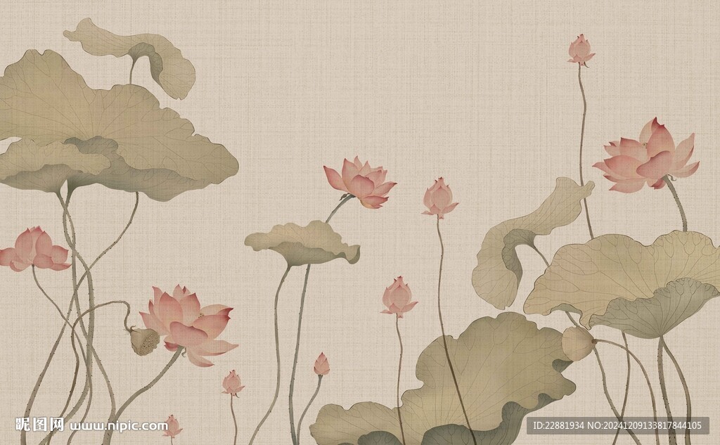 荷花工笔画 