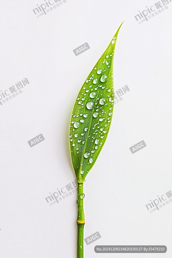 水珠绿叶环保素材