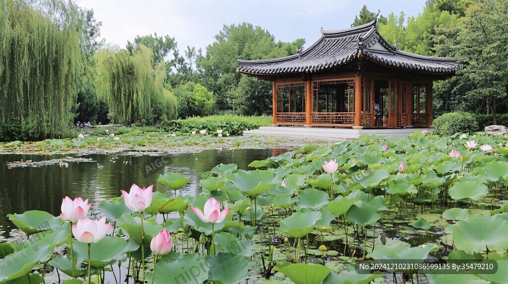 荷花亭美景