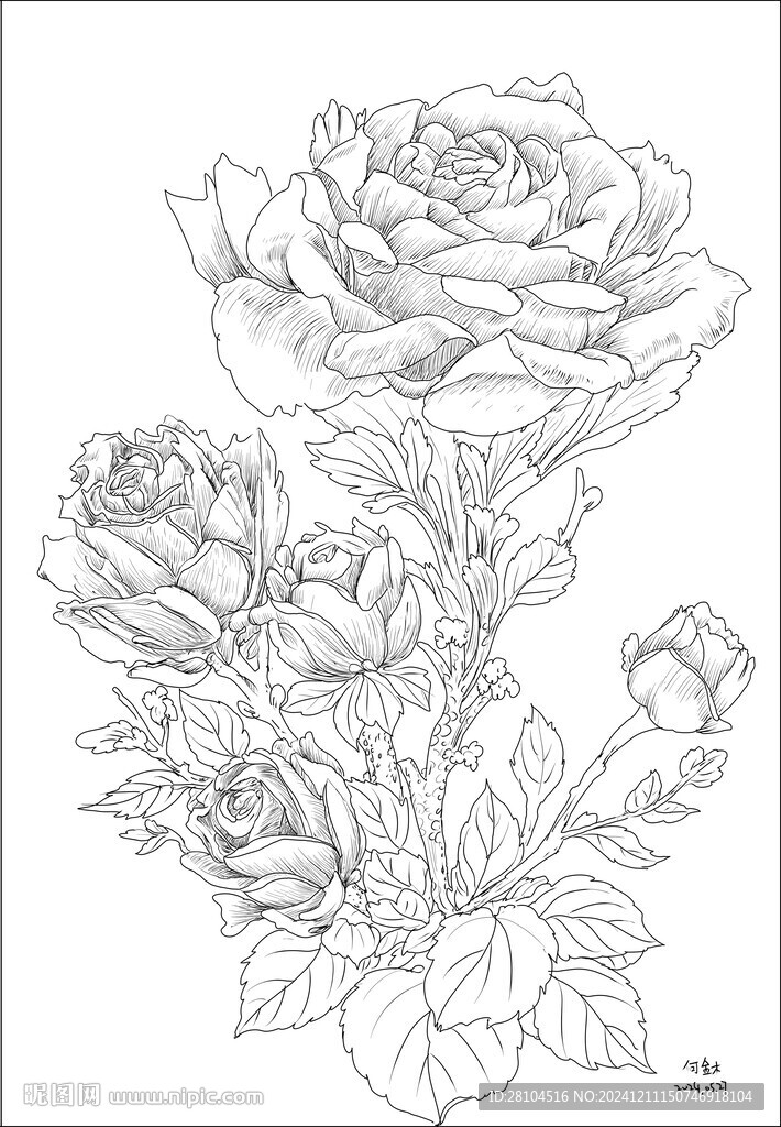 玫瑰花