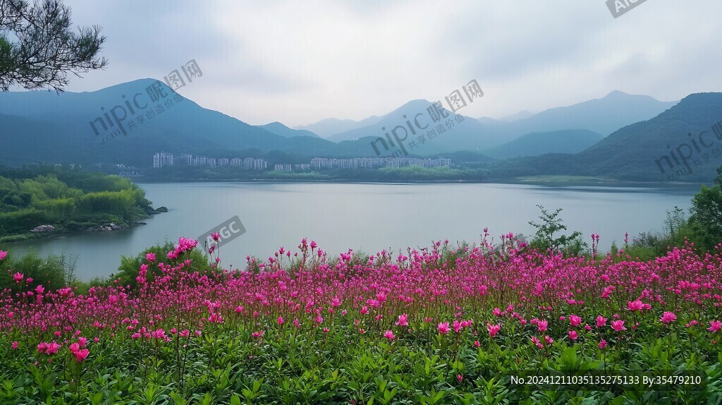 堇山湖