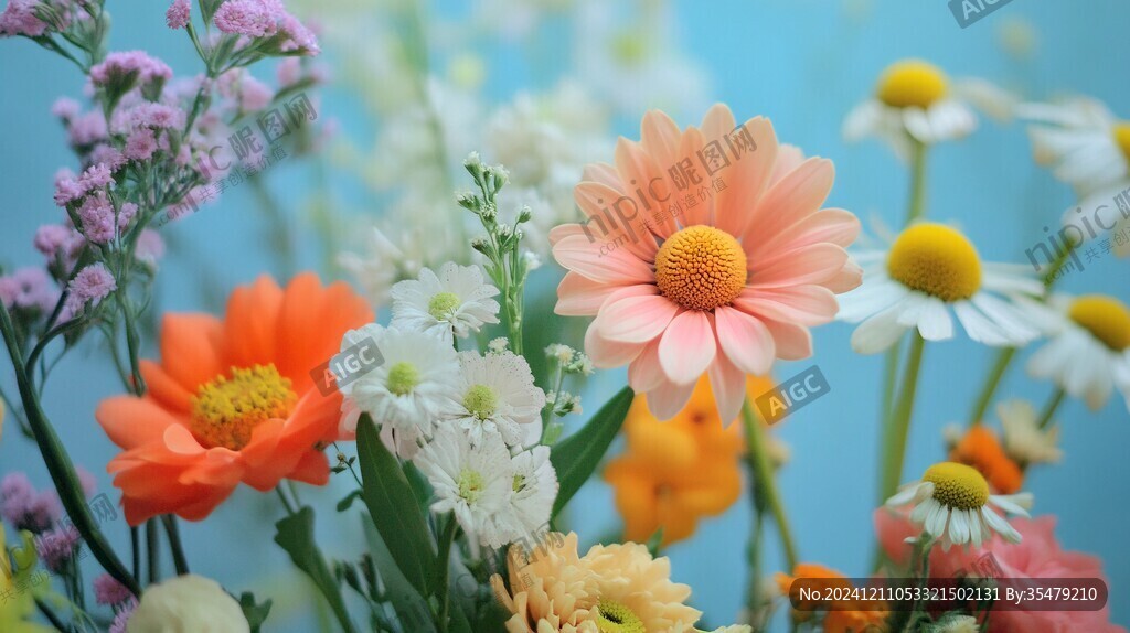 高清花卉壁纸