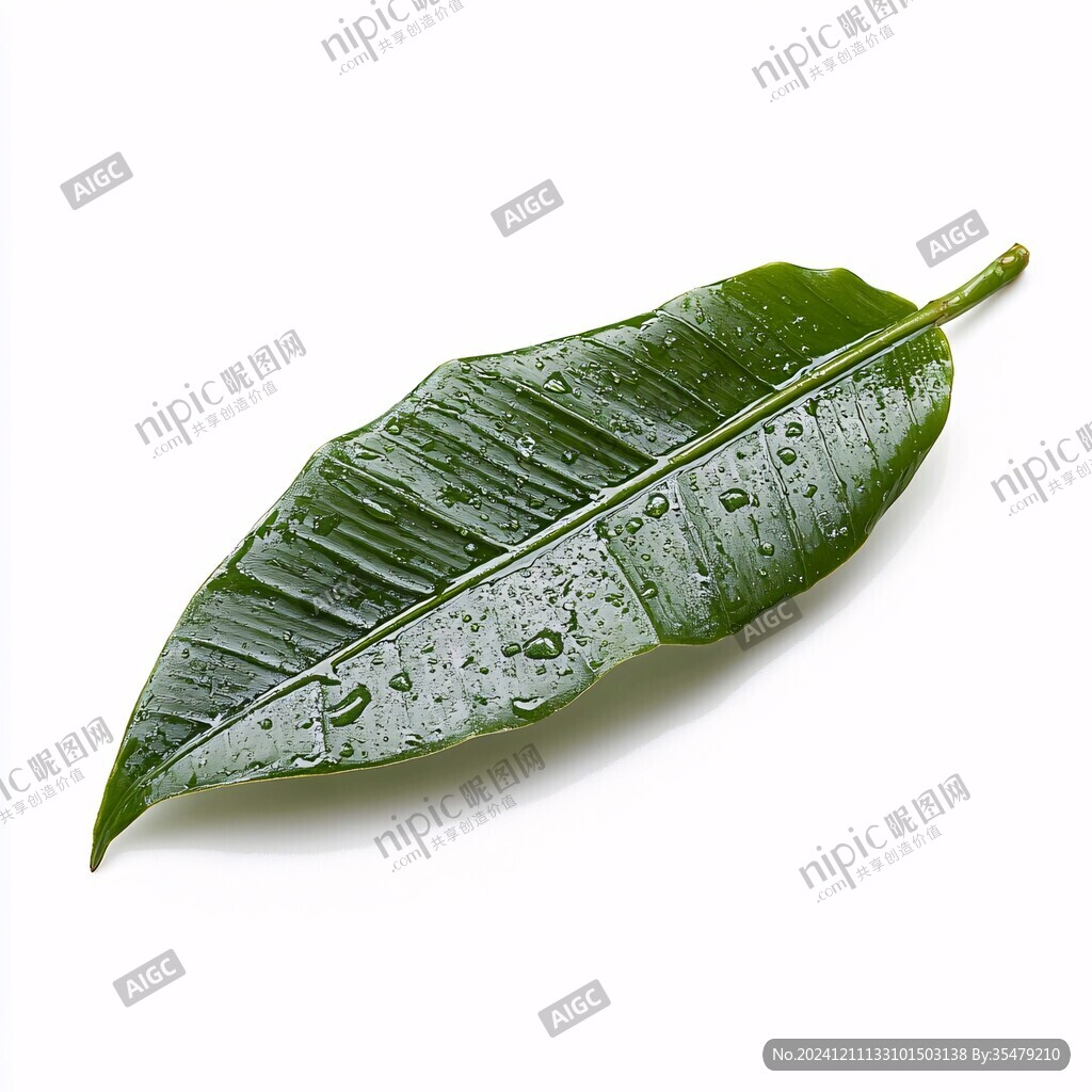北欧风芭蕉叶