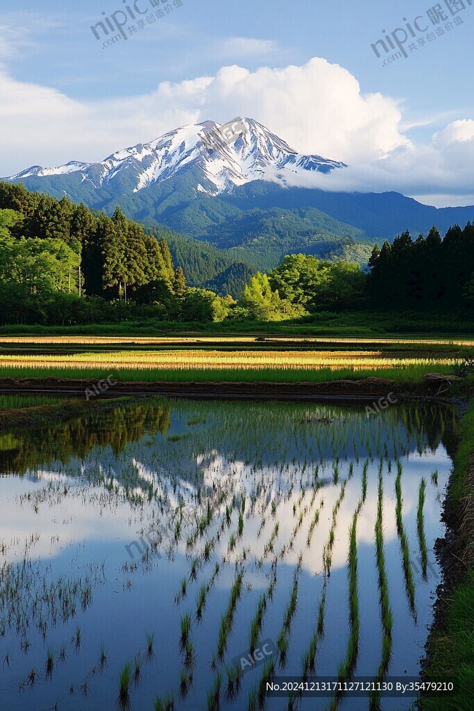 自然景色山形