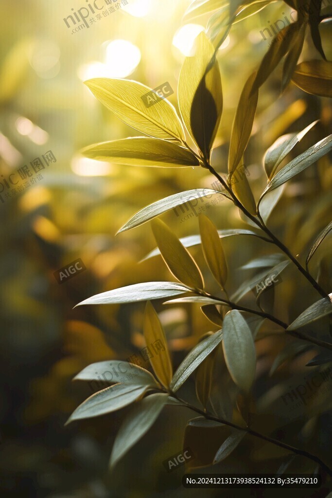 金色阳光绿色植物