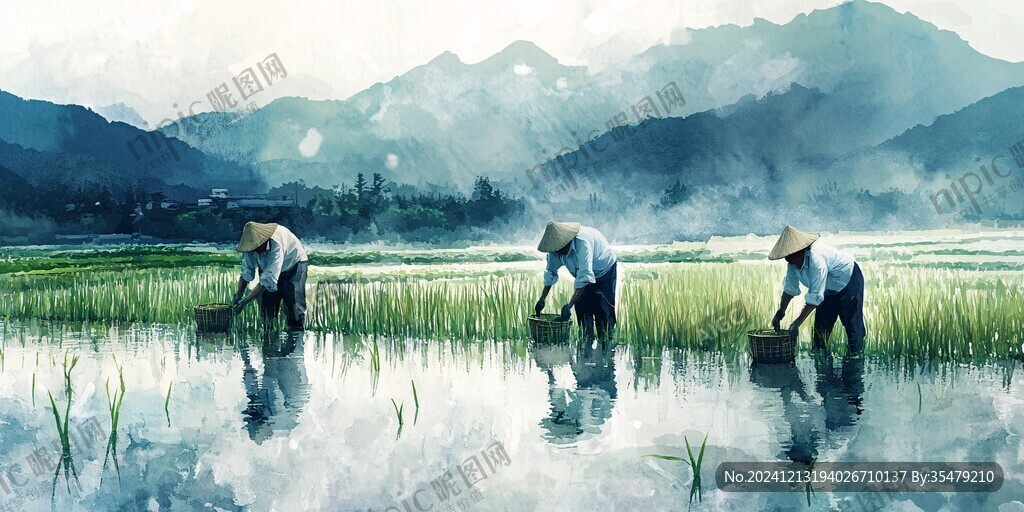 水田劳作场景