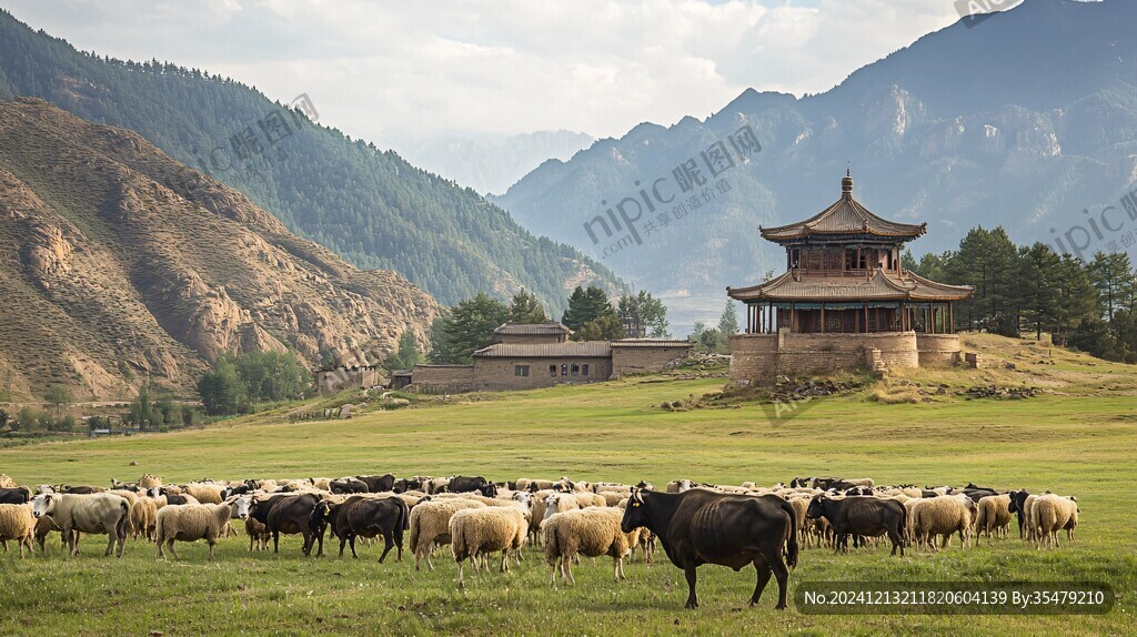 巴拉格宗高原牧场